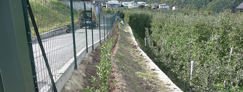 Servizi per esterni: gestione area verde